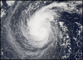 Typhoon Longwang