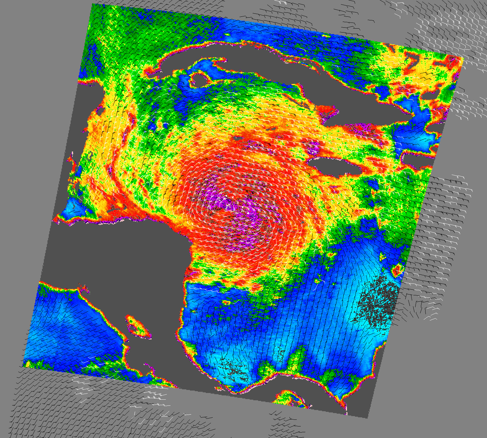 Hurricane Wilma - related image preview