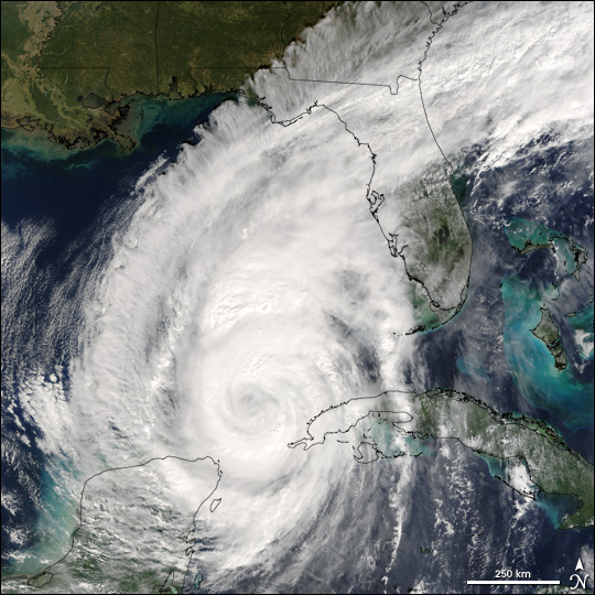 Hurricane Wilma