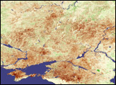 Stressed Crops in Ukraine and Russia