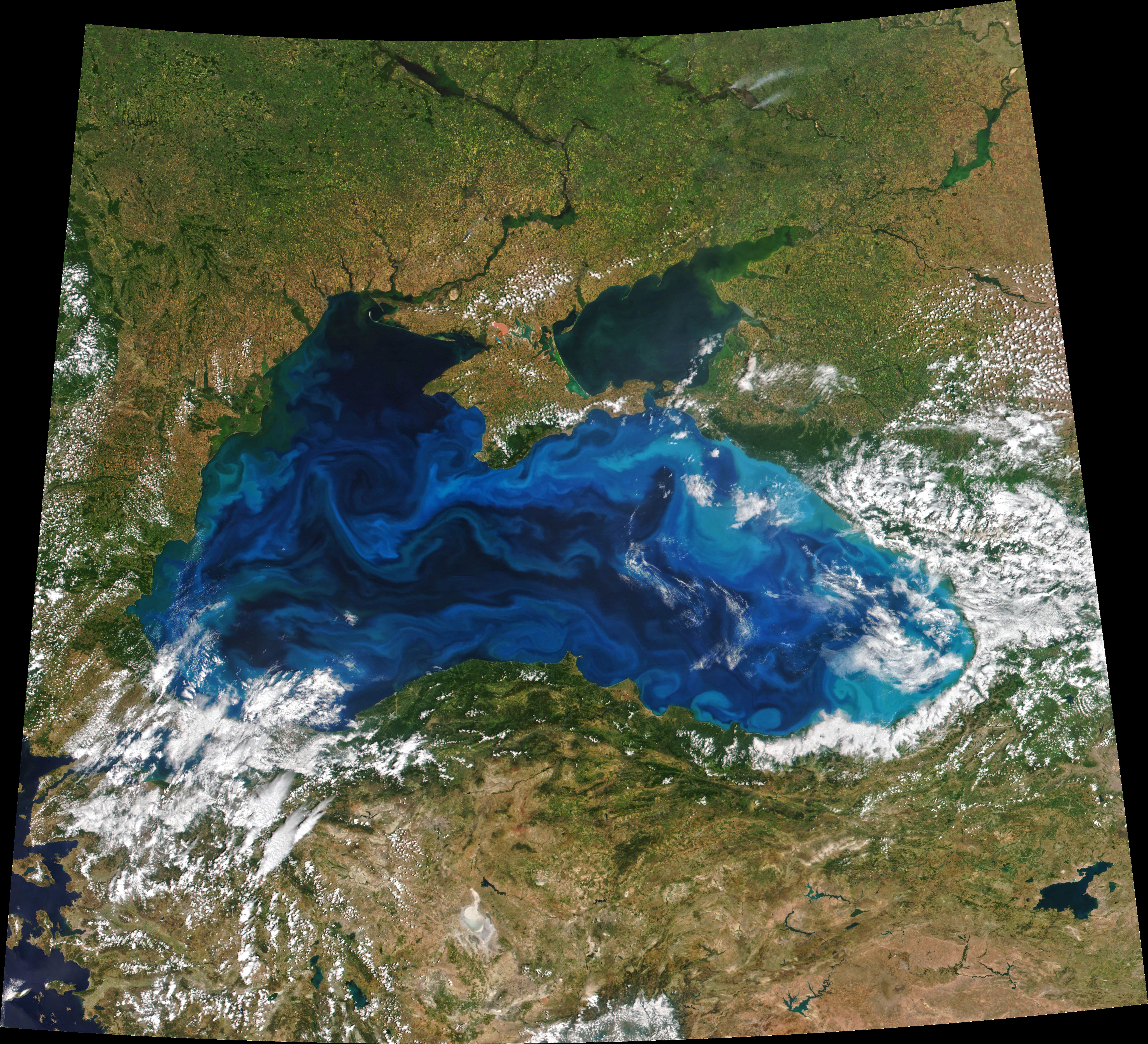 Brilliant Color in the Black Sea - related image preview