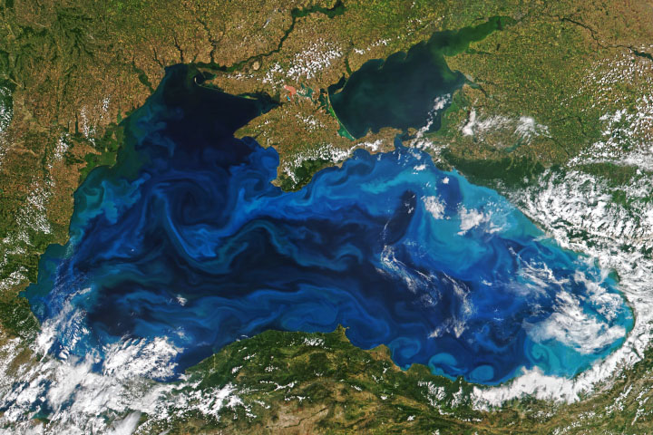 Brilliant Color in the Black Sea