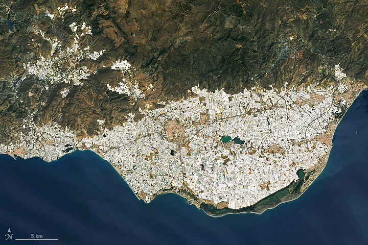 Almería’s Sea of Greenhouses - related image preview