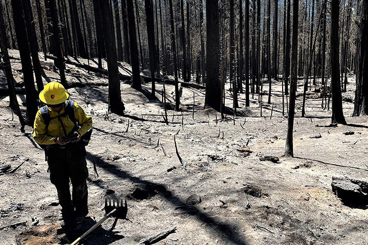 Fires Near Yosemite - related image preview