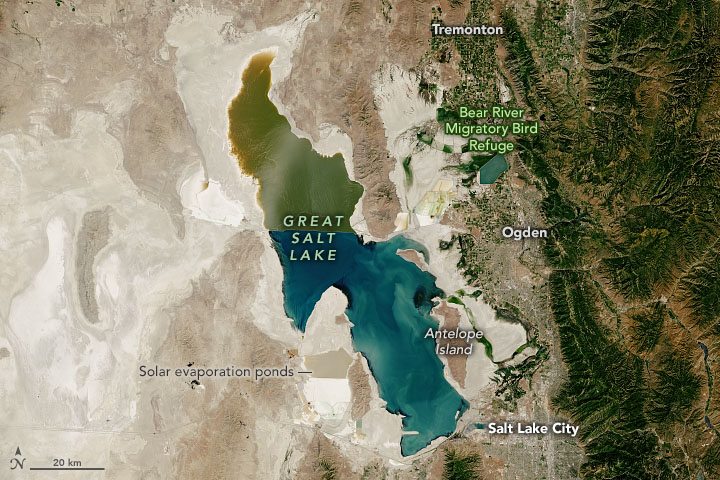 The Great Shrinking Lake