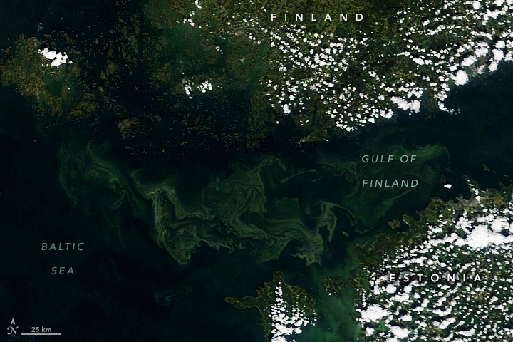 Greening the Gulf of Finland - related image preview