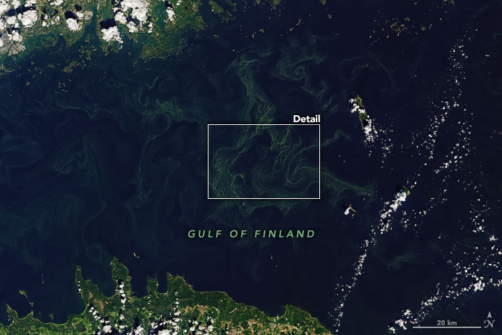 Greening the Gulf of Finland - related image preview