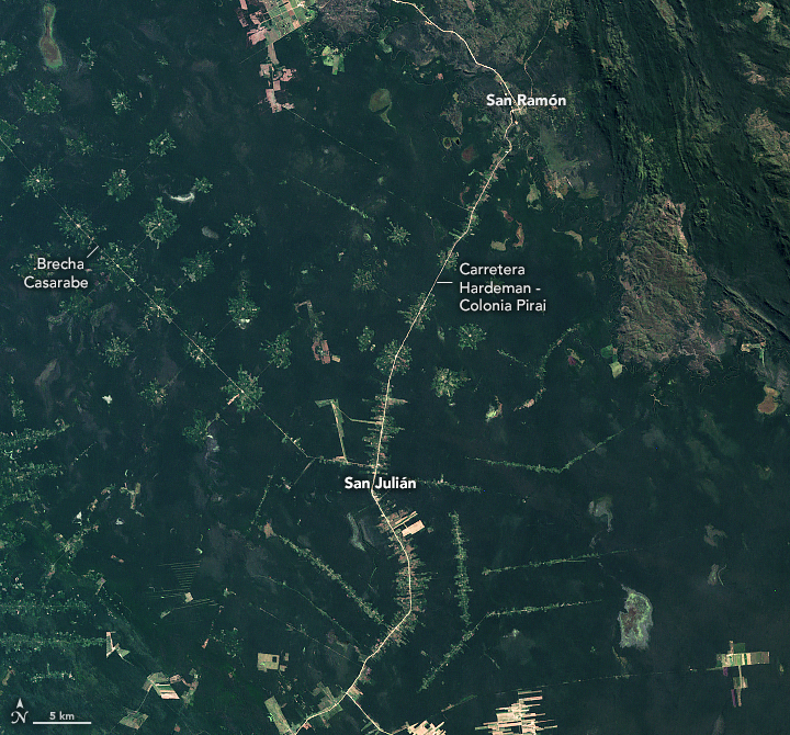 Patterns of Forest Change in Bolivia - related image preview