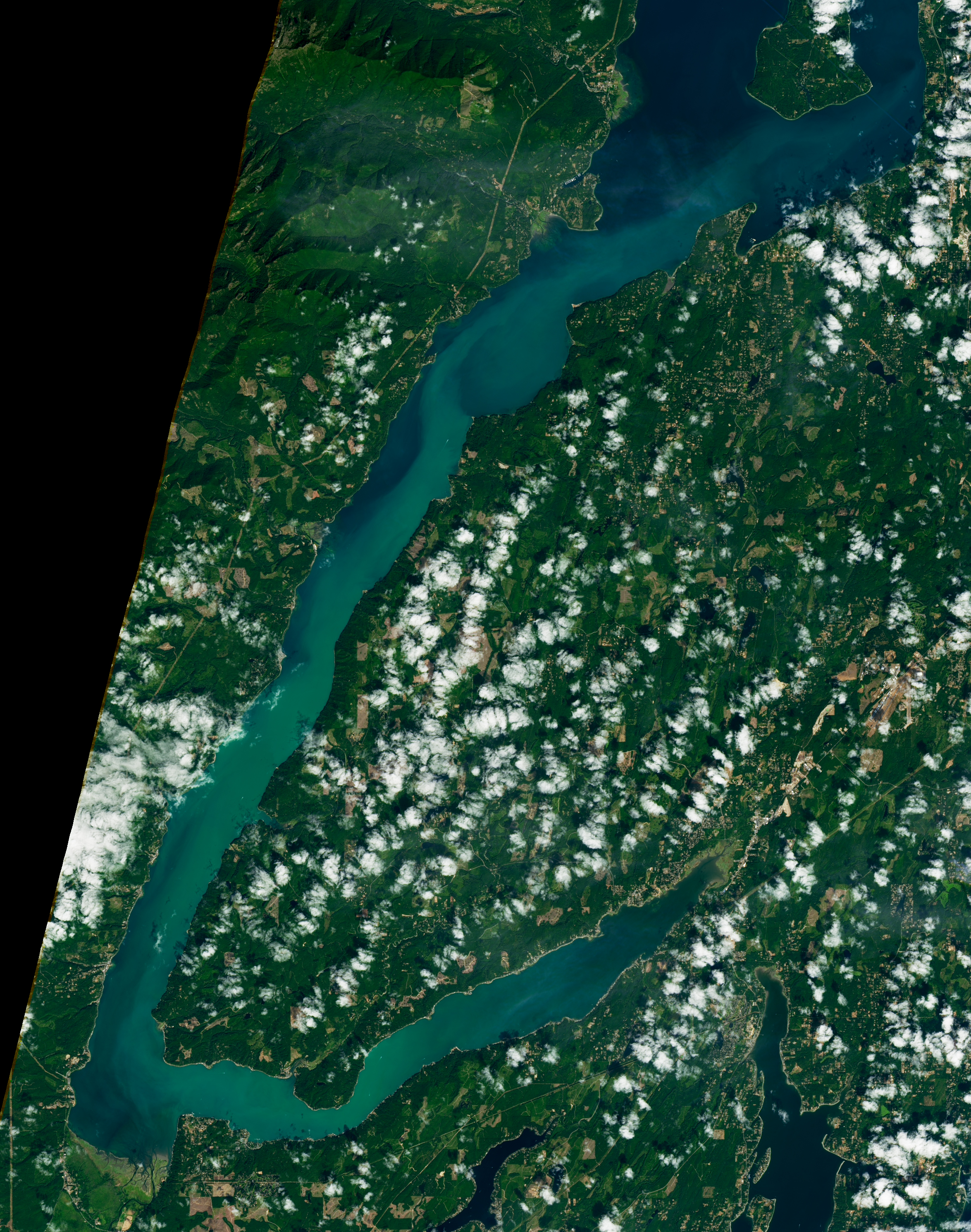 Summer Color for Hood Canal - related image preview