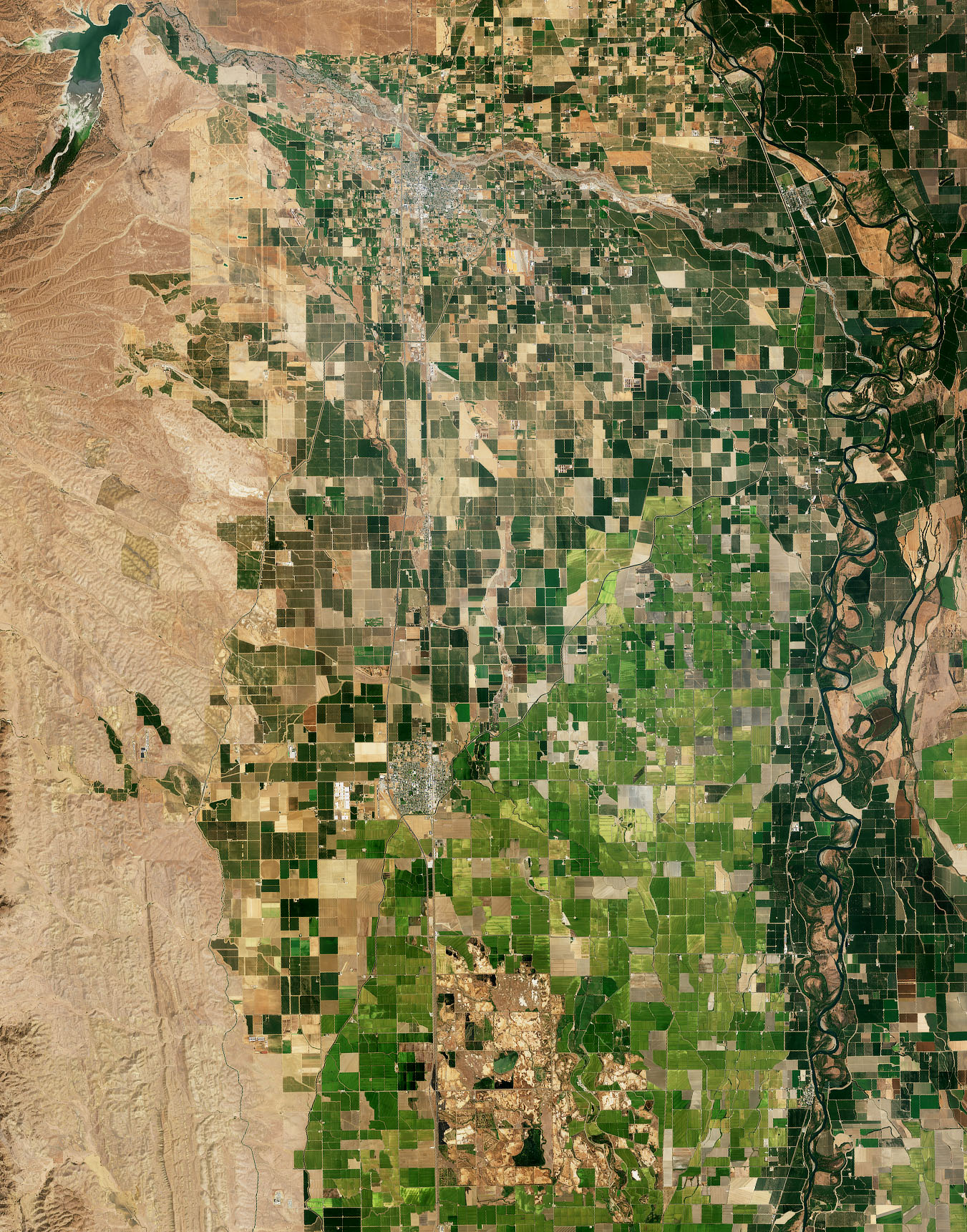 A Rough Year for Rice in California - related image preview
