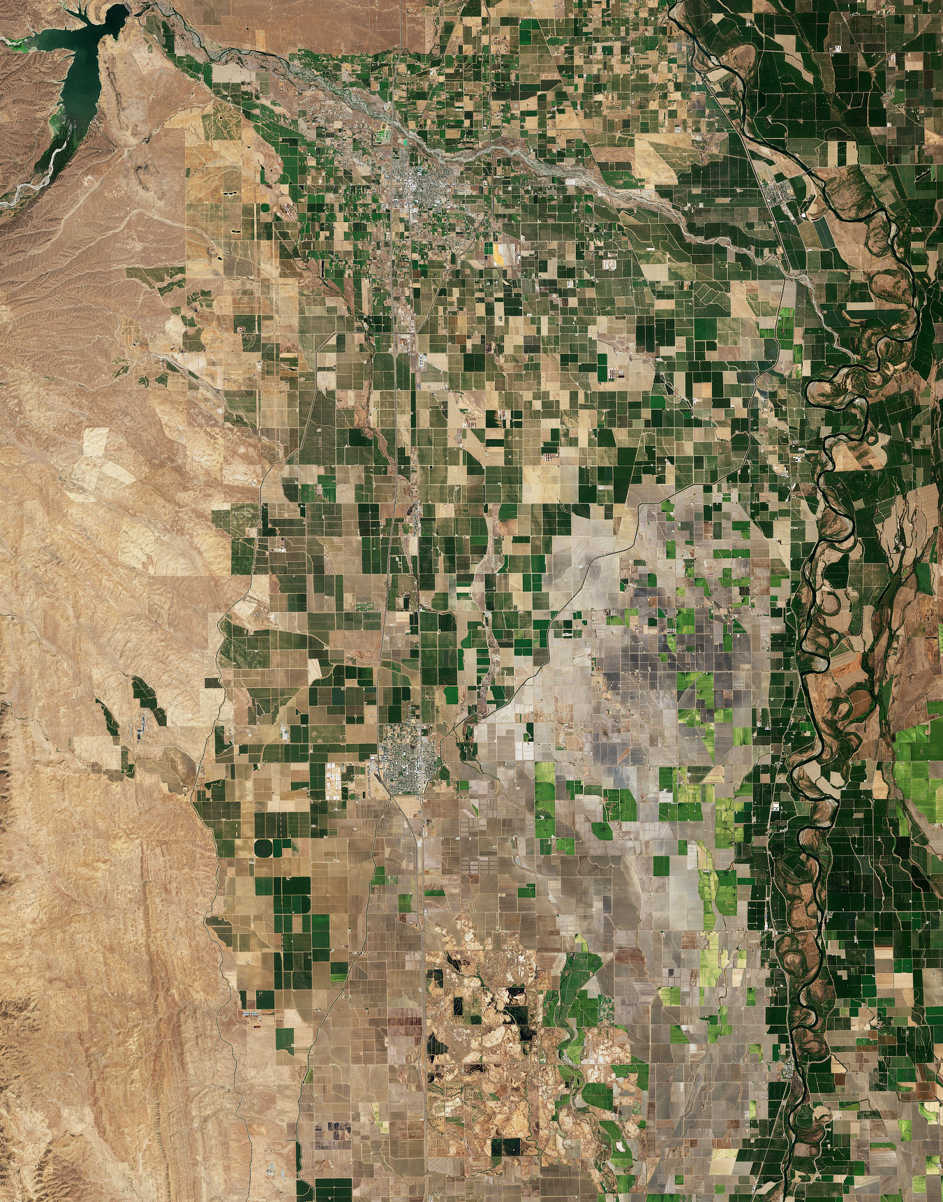 A Rough Year for Rice in California - related image preview
