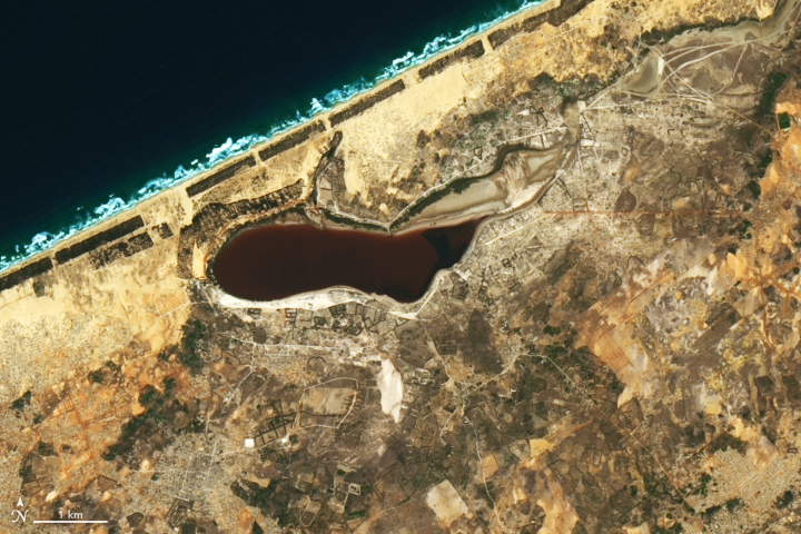 Pink Lake Loses its Rosy Hue - related image preview