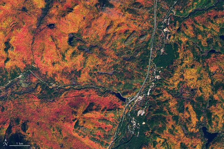 Autumn in the Adirondacks - related image preview