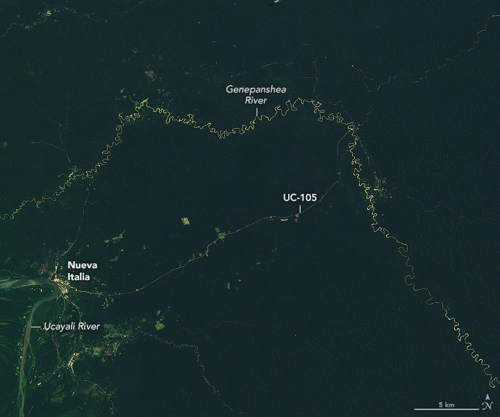 Deforestation Follows a Road Through Ucayali