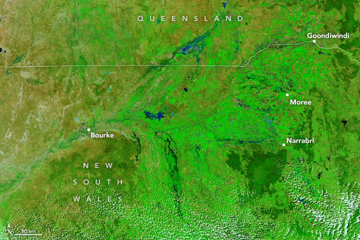 Flooding in Eastern Australia