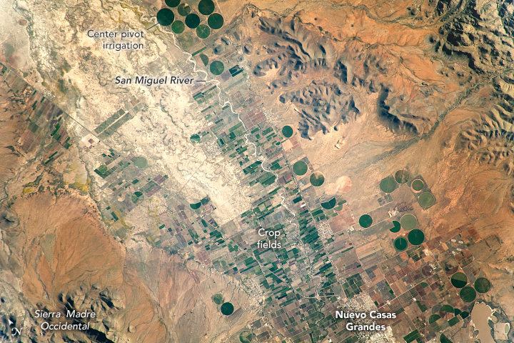 Agriculture in Mexico’s Chihuahuan Desert