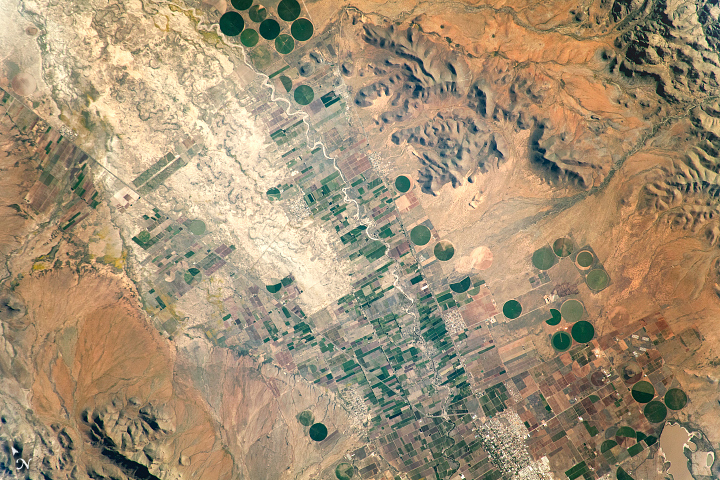 Agriculture in Mexico’s Chihuahuan Desert - related image preview