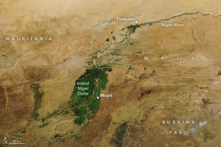 Seasonal Greening of the Inner Niger Delta