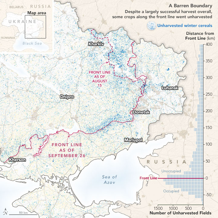 Larger Wheat Harvest in Ukraine Than Expected - related image preview