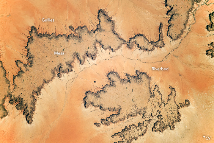 Eroded Beauty in the Sahara Desert