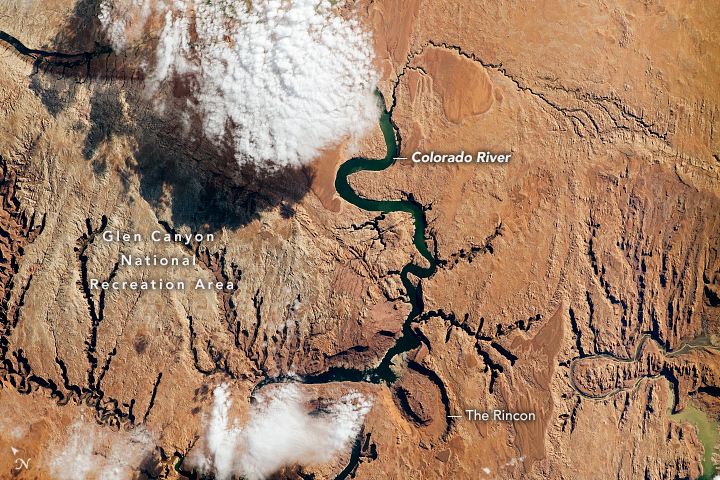The Colorado River Cuts a Canyon