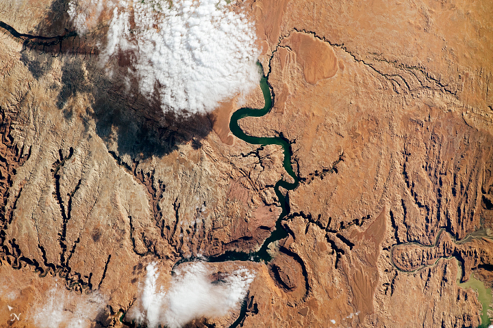 The Colorado River Cuts a Canyon - related image preview