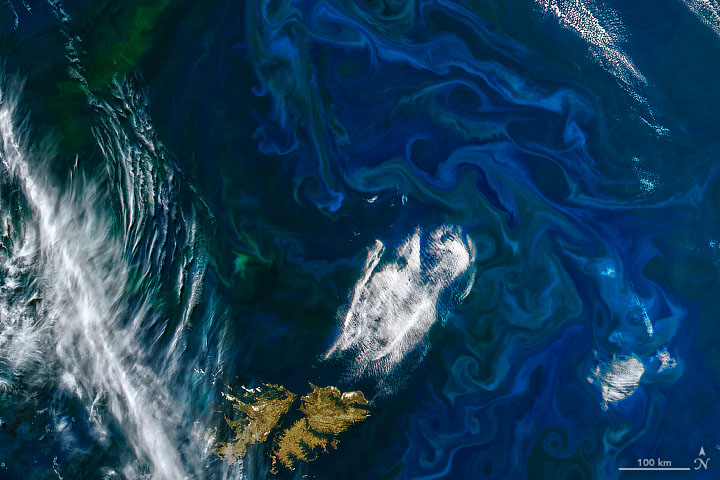 Breathing Life into the Ocean - related image preview