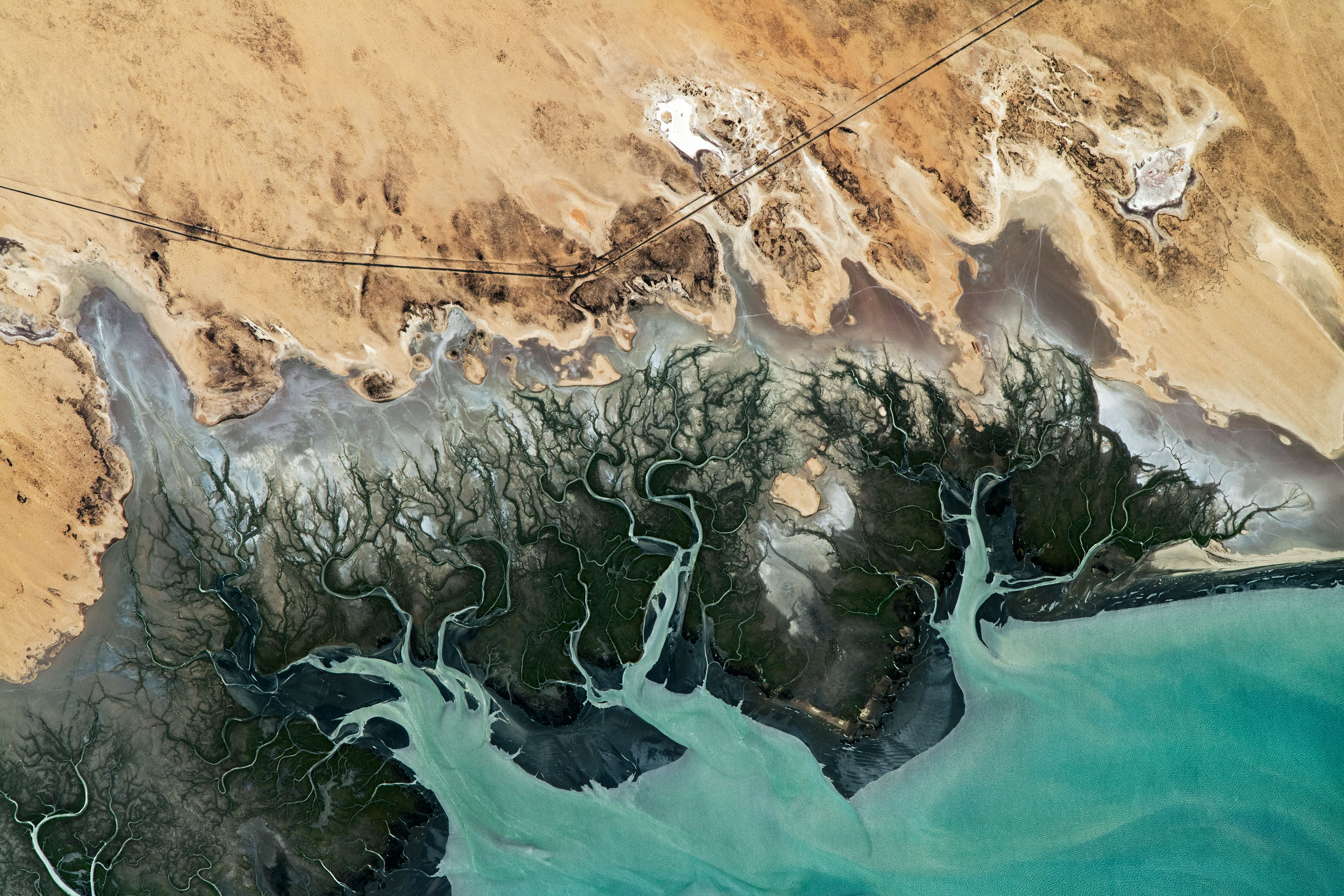 Wetlands of Adair Bay - related image preview