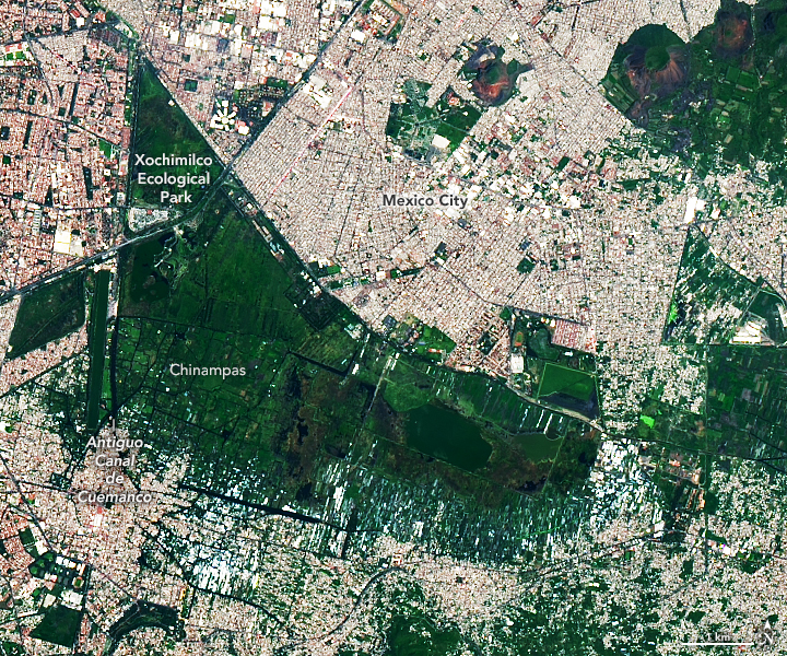 Relic Chinampas in Mexico City