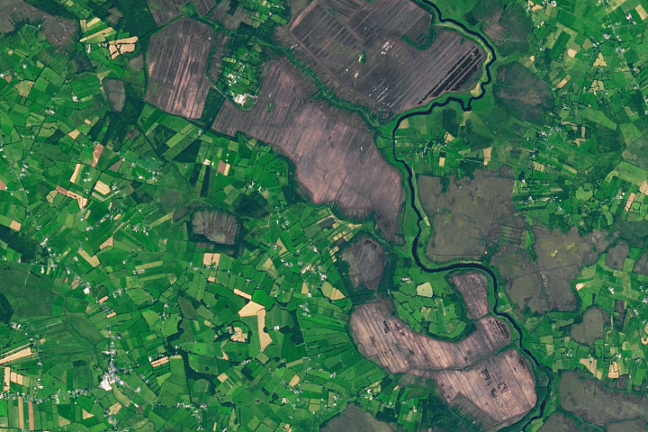 Ireland’s Cutaway Peatlands