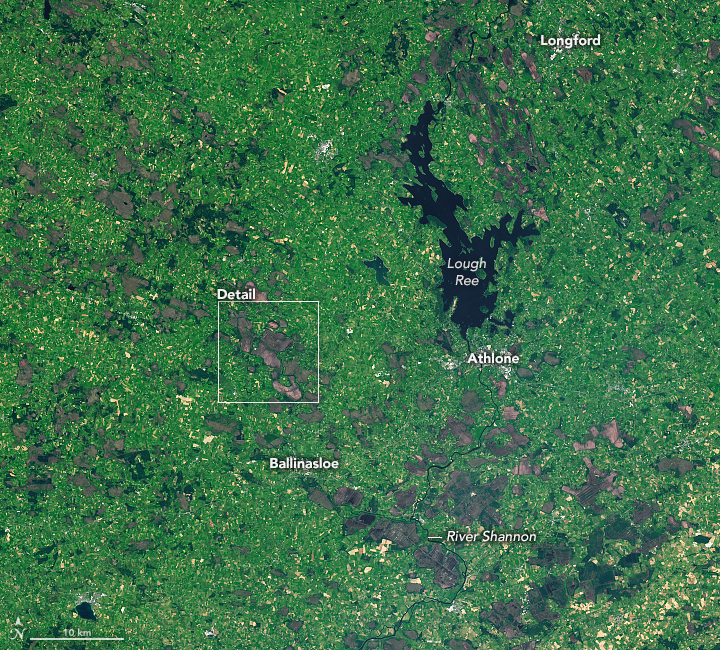 Ireland’s Cutaway Peatlands - related image preview