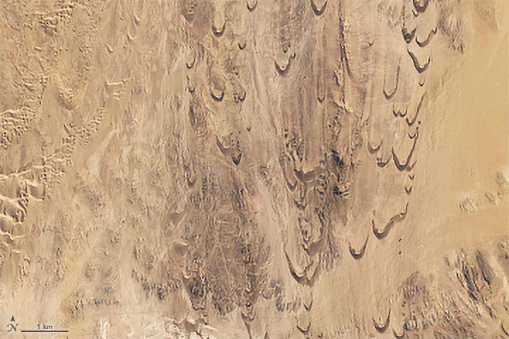 Racing Dunes in Namibia - related image preview