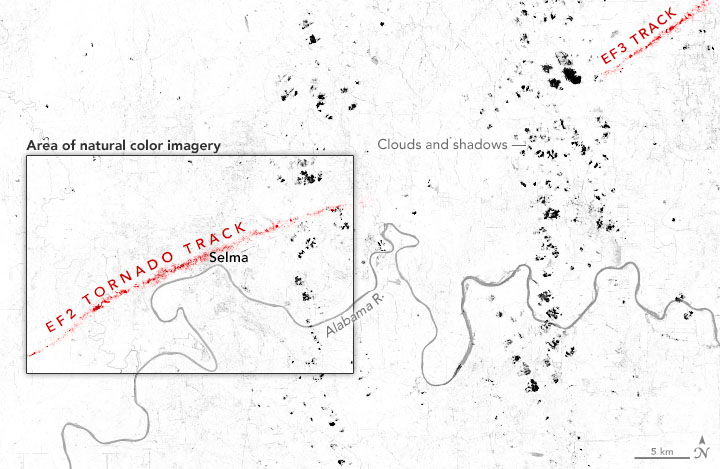 A Tornado Scars Selma - related image preview