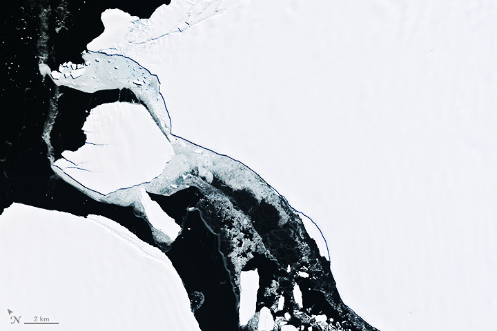 Antarctic Iceberg on the Move - related image preview