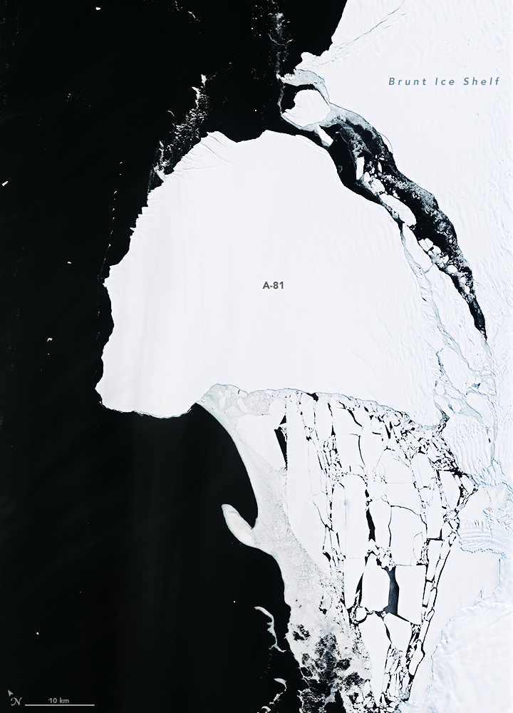 Antarctic Iceberg on the Move - related image preview