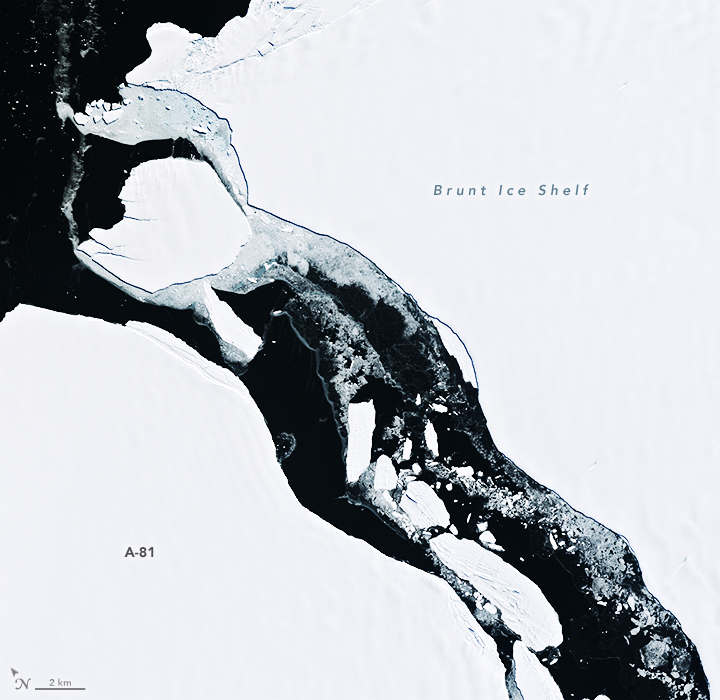 Antarctic Iceberg on the Move - related image preview