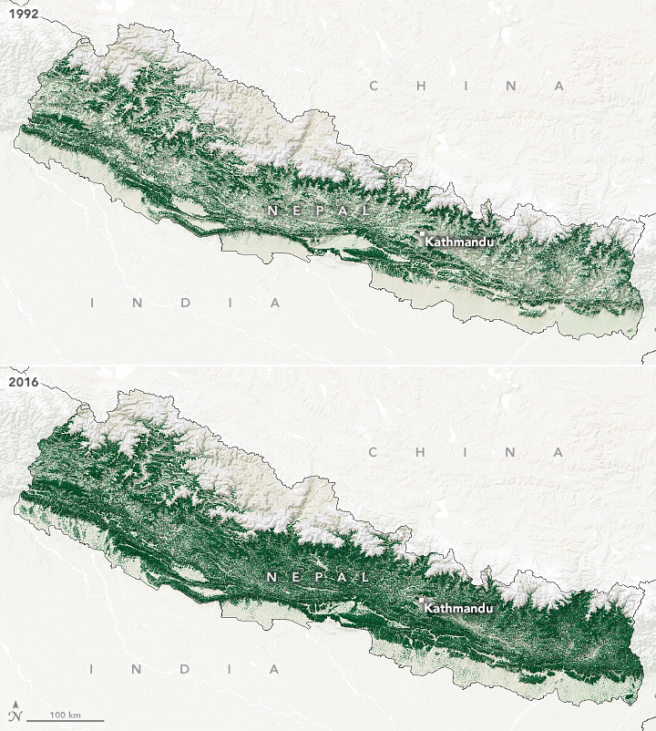 How Nepal Regenerated Its Forests - related image preview