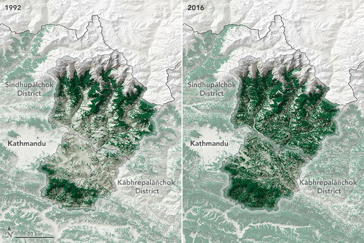 How Nepal Regenerated Its Forests - related image preview