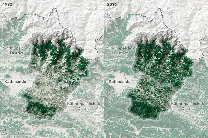 In Nepal, Out-Migration Is Helping Fuel a Forest Resurgence - Yale E360