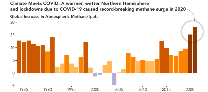 Why Methane Surged in 2020 - related image preview
