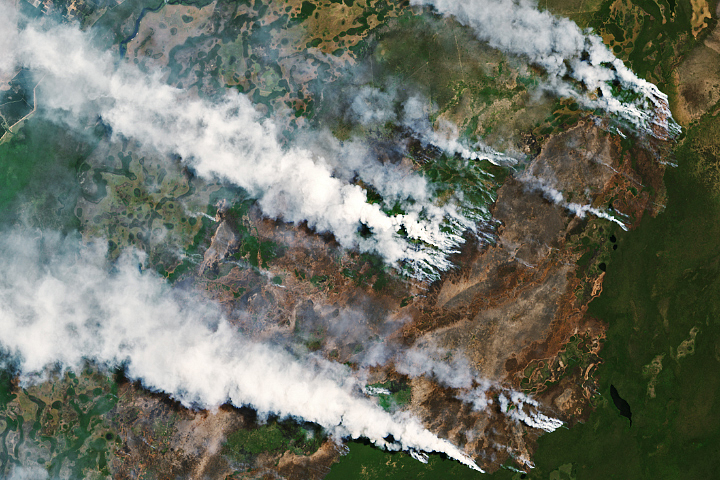 Fires Burn in Argentina’s Iberá National Park