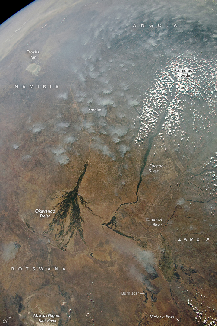 Panorama du désert du nord du Kalahari