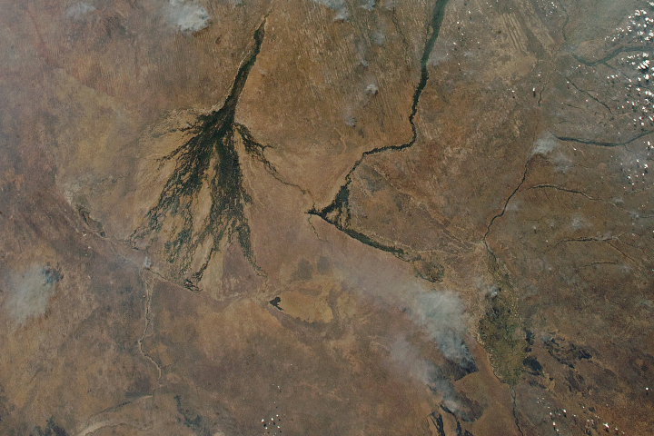 Northern Kalahari Desert Panorama