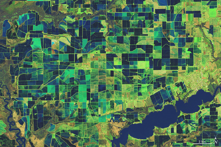 Flooded Rice Fields in Louisiana - related image preview