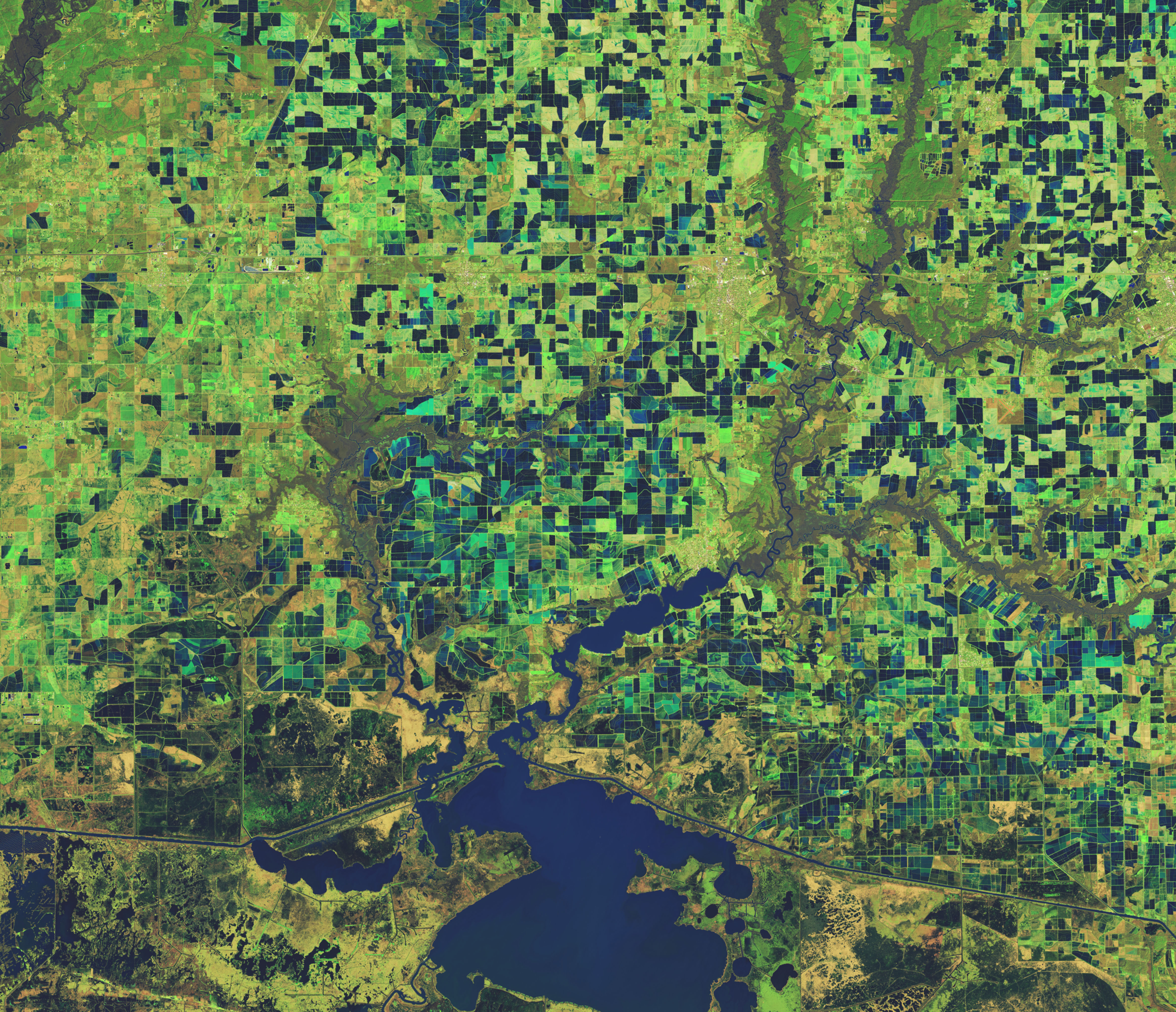 Flooded Rice Fields in Louisiana - related image preview