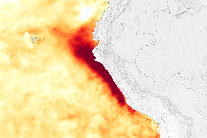 Warming Water and Downpours in Peru