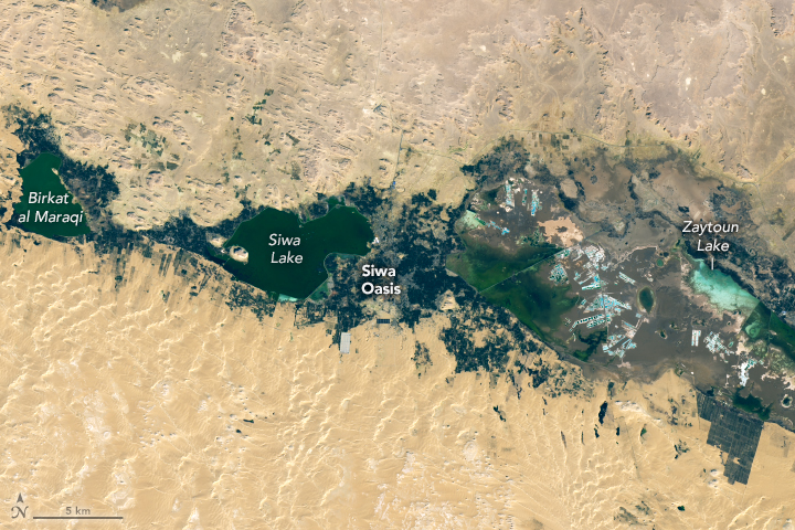 Oasis, Desert Oasis, Arid Climate & Water Sources