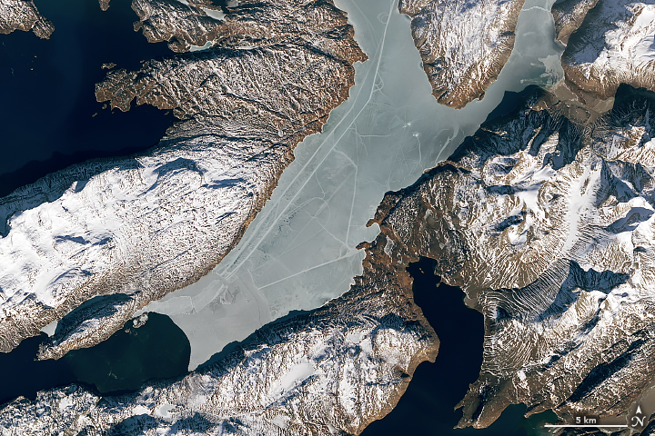 Curious Tracks Criss-Cross an Icy Fjord - related image preview
