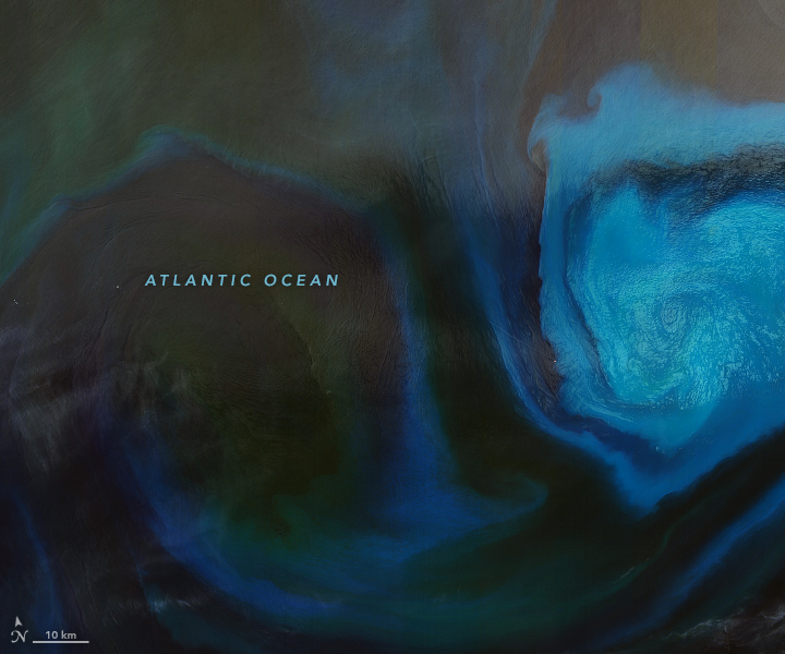 Bloomin’ Atlantic - related image preview