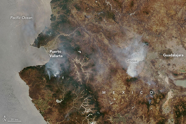 Fires in Jalisco - related image preview